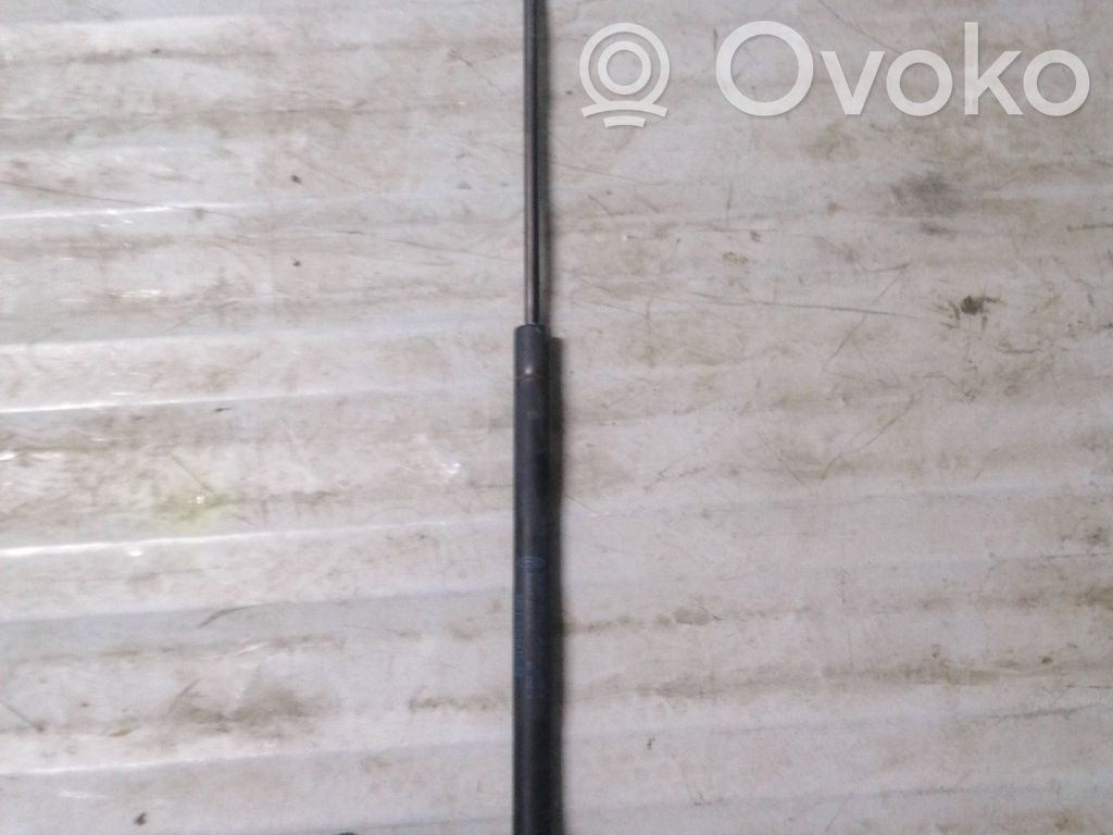 Ford Focus Tailgate/trunk strut/damper 