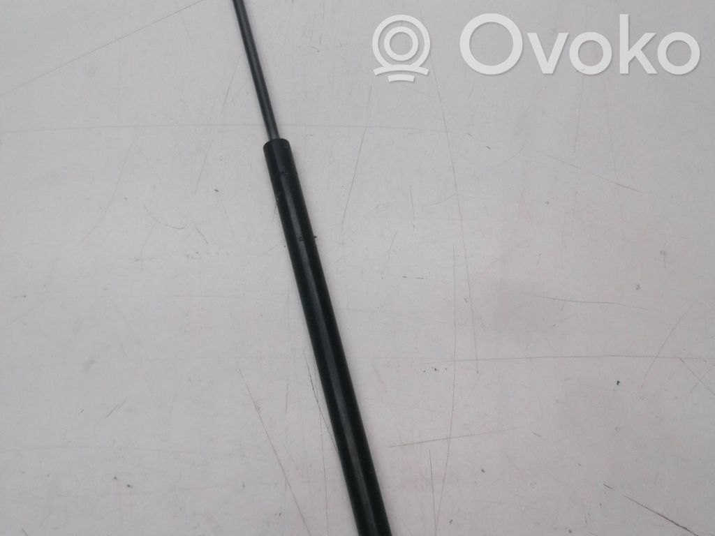 Ford Focus Tailgate/trunk strut/damper 