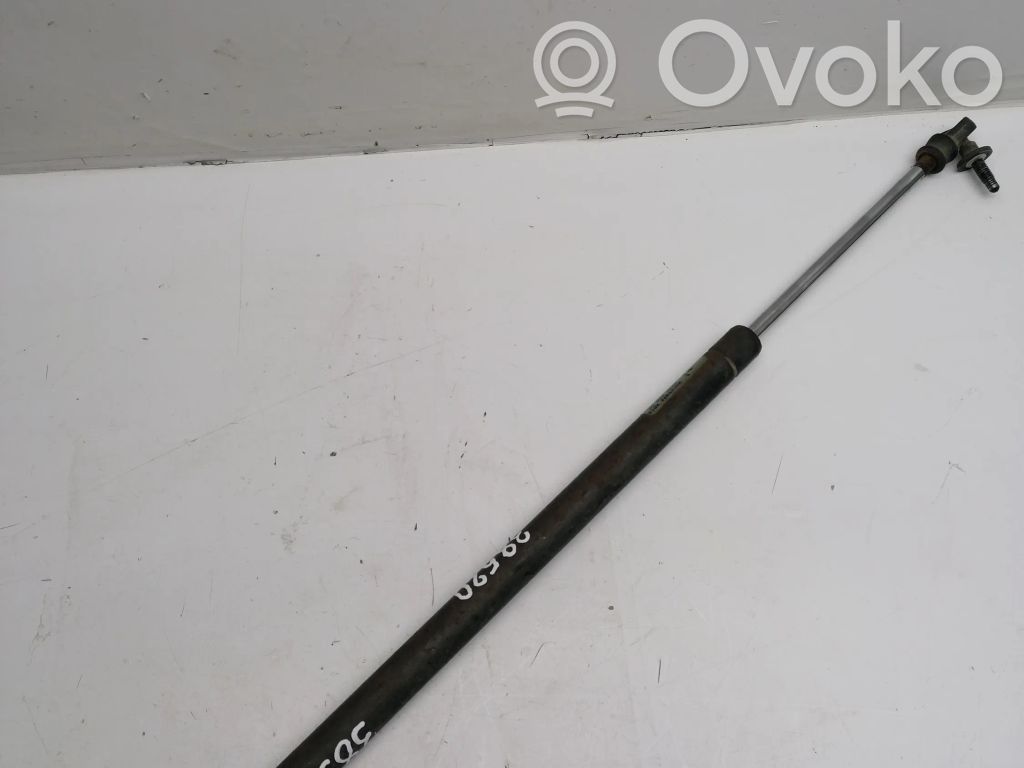 Dodge Caravan Ammortizzatore portellone posteriore/bagagliaio 