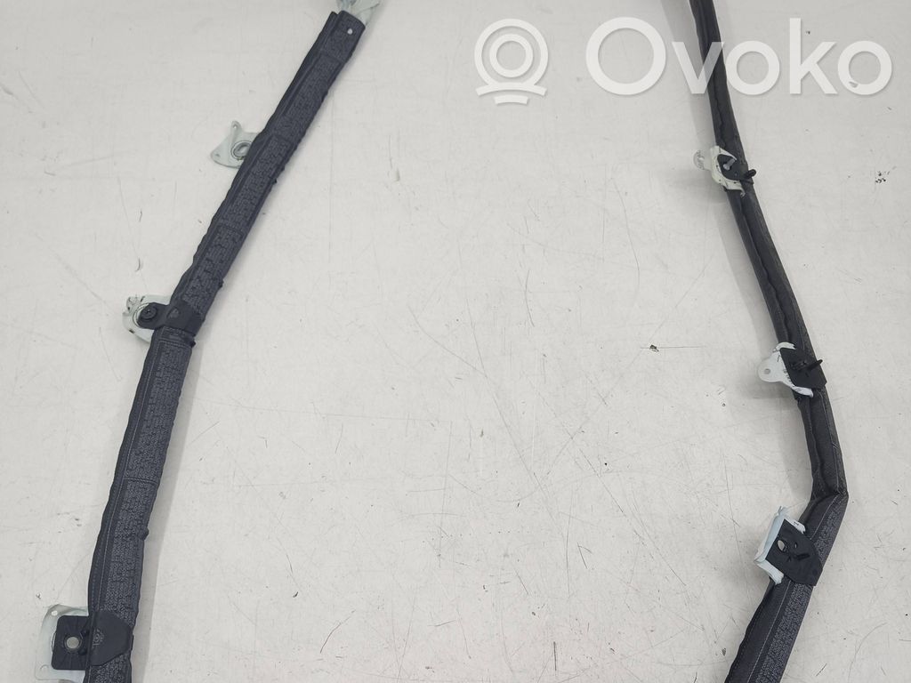 BMW X3 E83 Airbag del techo 