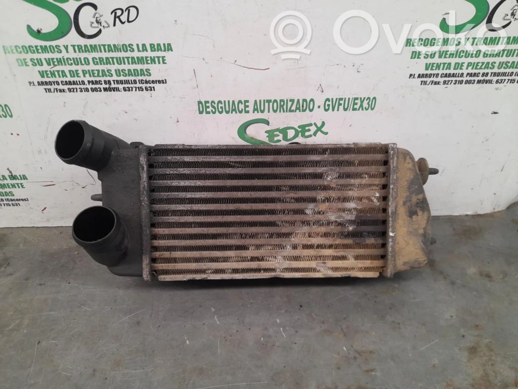 Citroen C3 Intercooler radiator 