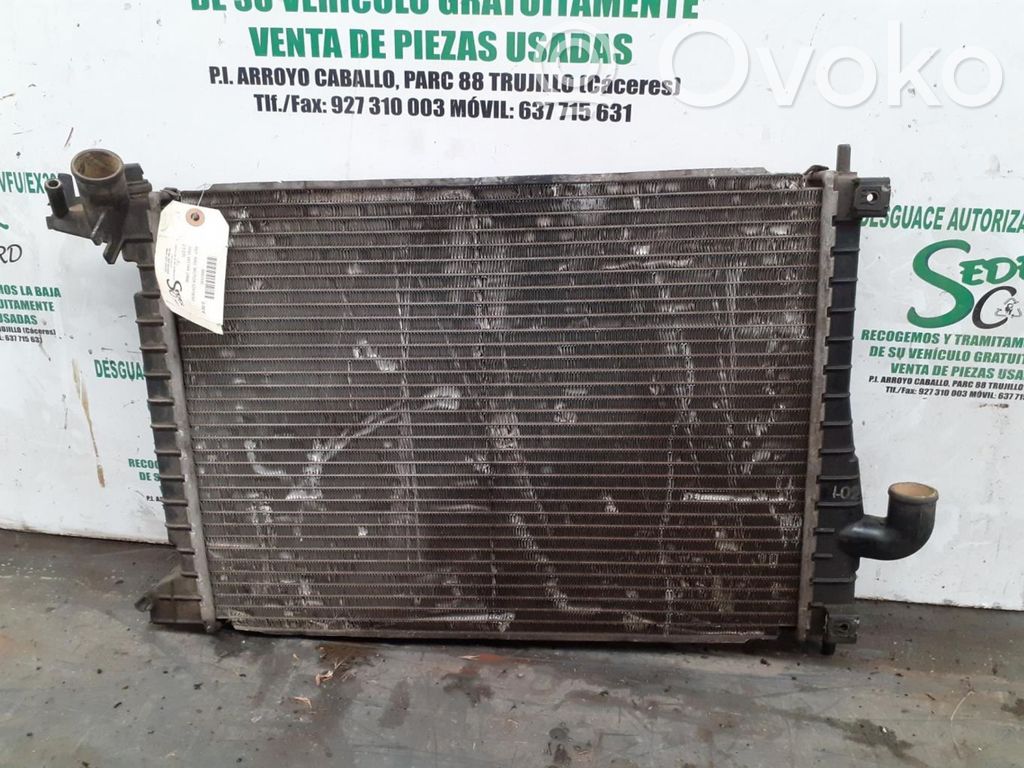 Radiador del refrigerante   SINREF