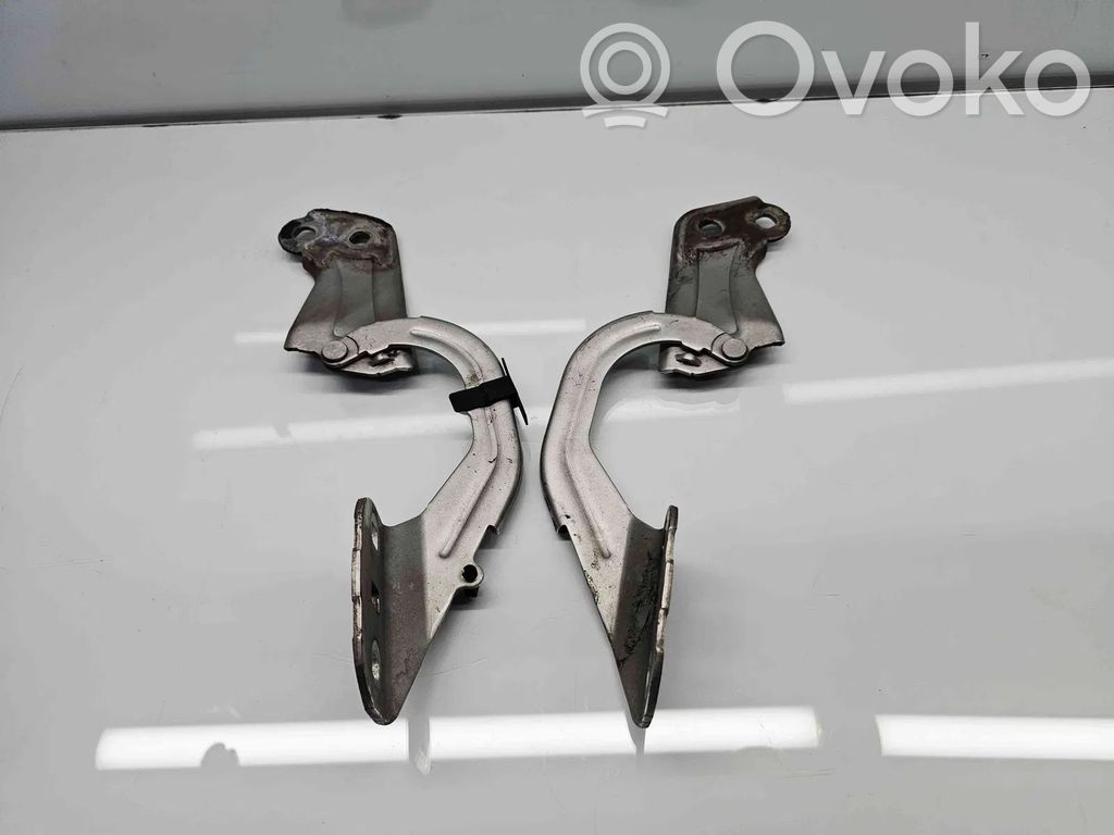 Ford Focus Front door hinges set 