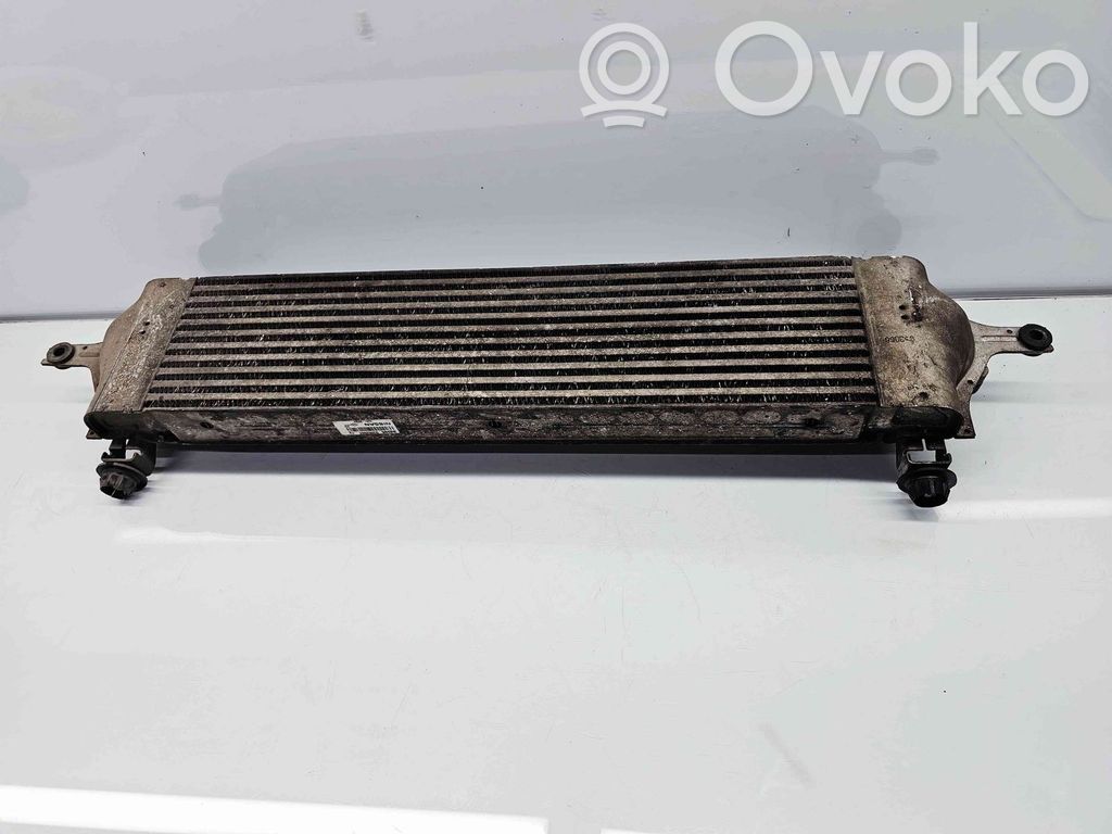 Radiador intercooler   14461BB30A