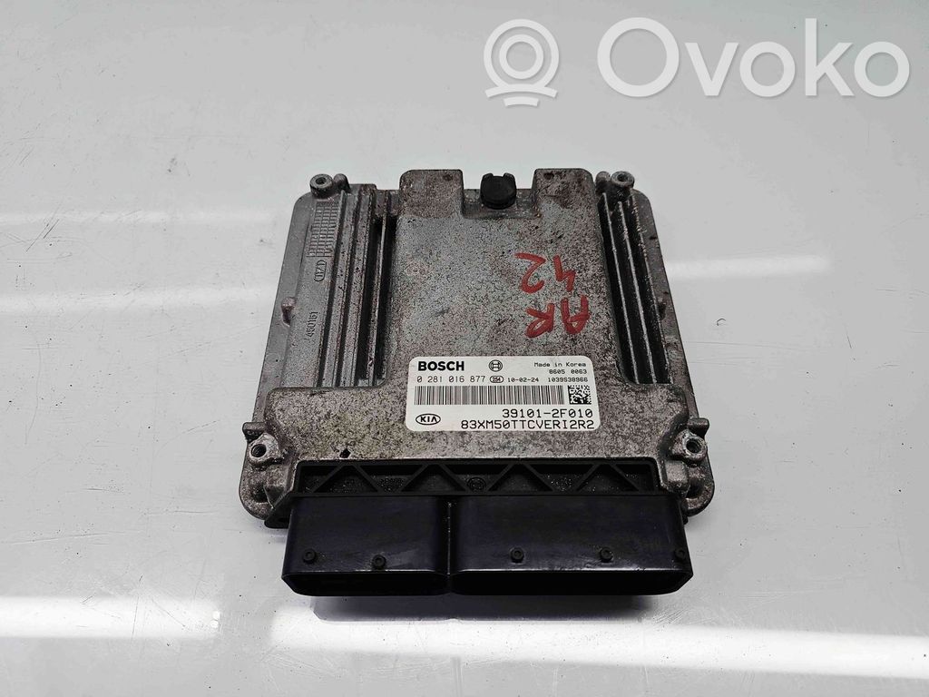 Engine control unit/module ECU   391012F010