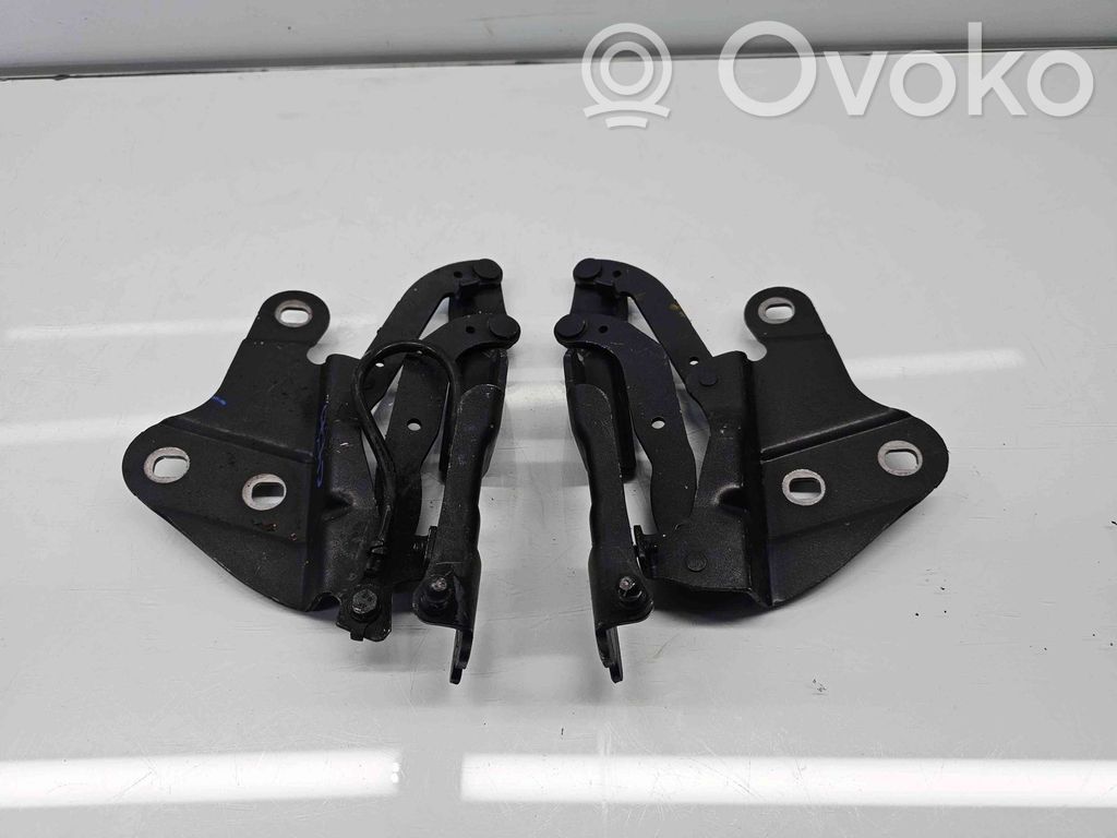 BMW X1 E84 Scharnier Satz Set Tür vorne 