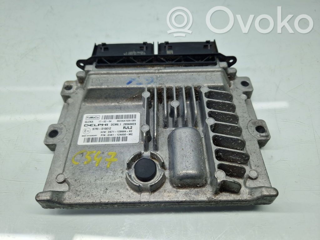 Engine control unit/module ECU   DS7112B684XC