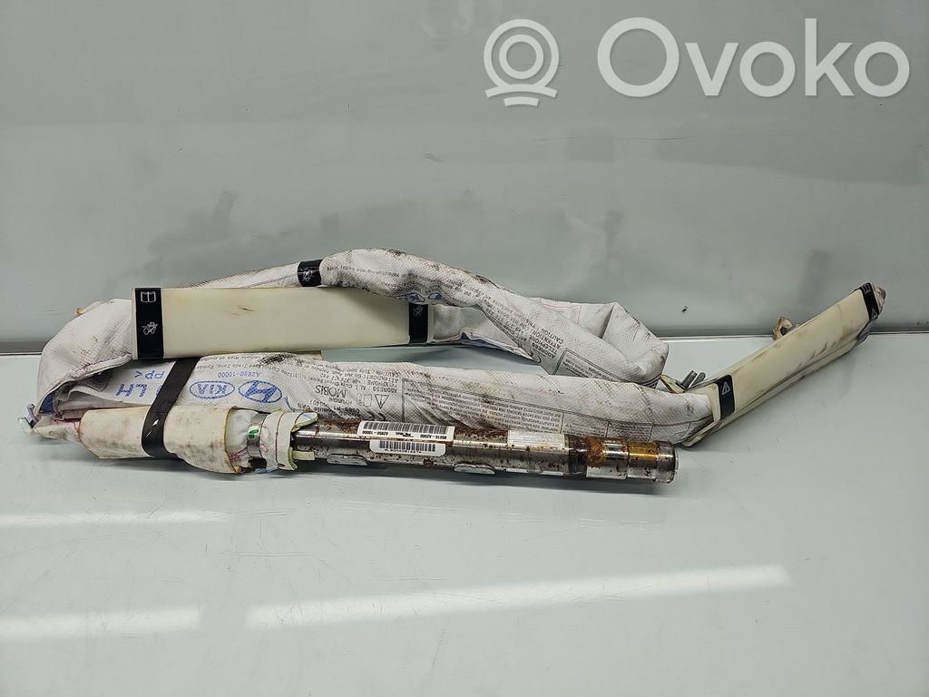 Abdeckung Fahrerairbag   85010A2000