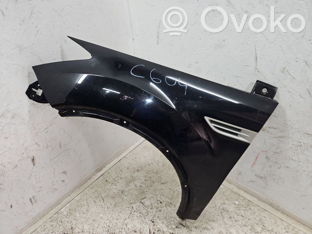 Guardabarro   PANTHERBLACK