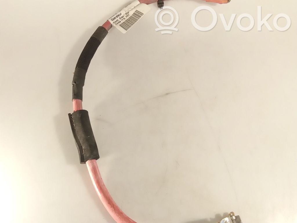Opel Vivaro Plus / Klema / Przewód akumulatora 