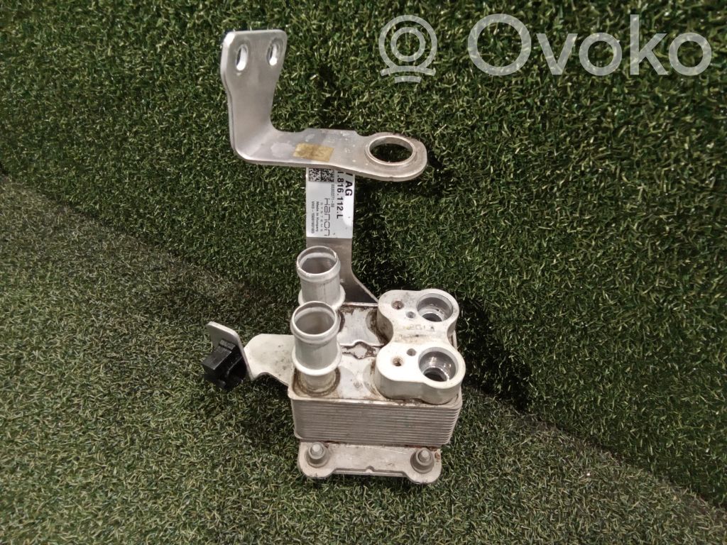 Porsche Cayenne (9Y0 9Y3) Radiatore dell’olio del motore 