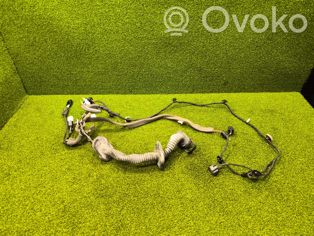 Renault Espace V (RFC) Cableado de puerta delantera 