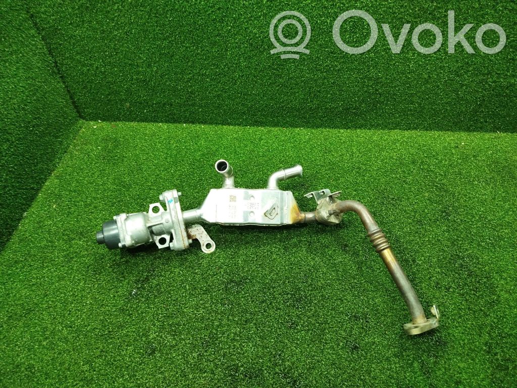 Renault Arkana Răcitor supapă EGR 