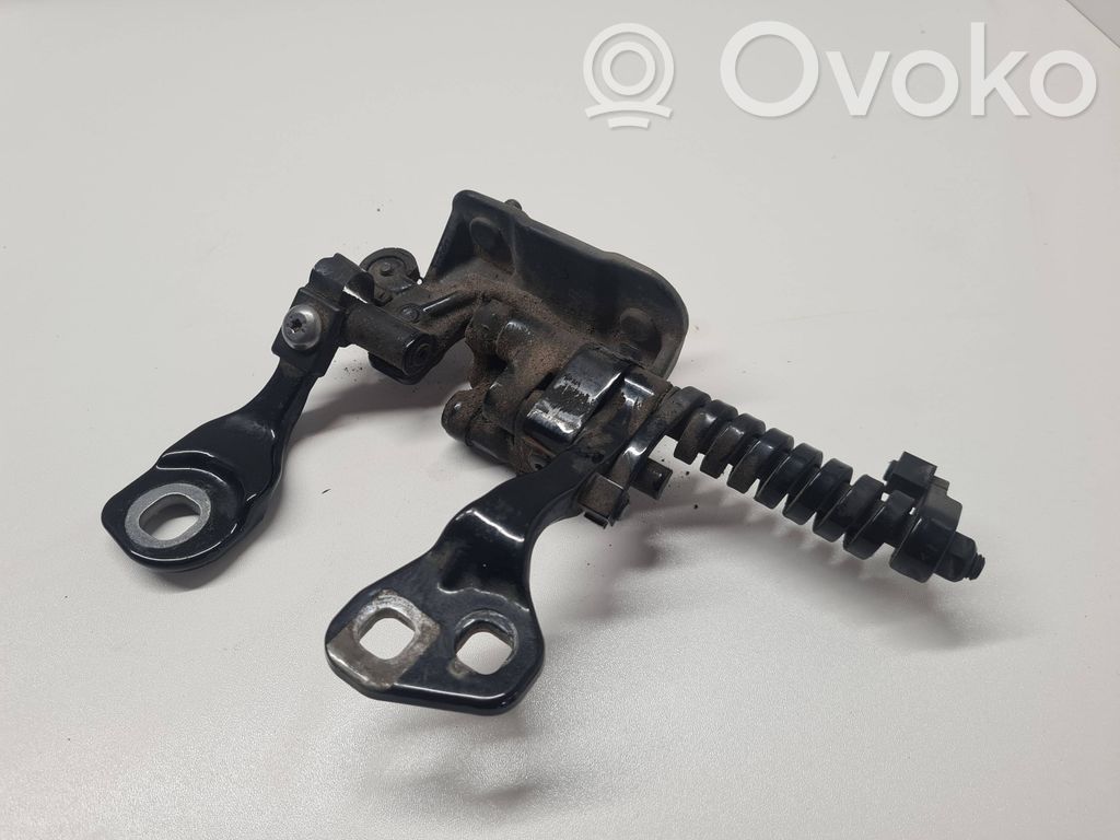 Tailgate/trunk/boot hinge   7119041