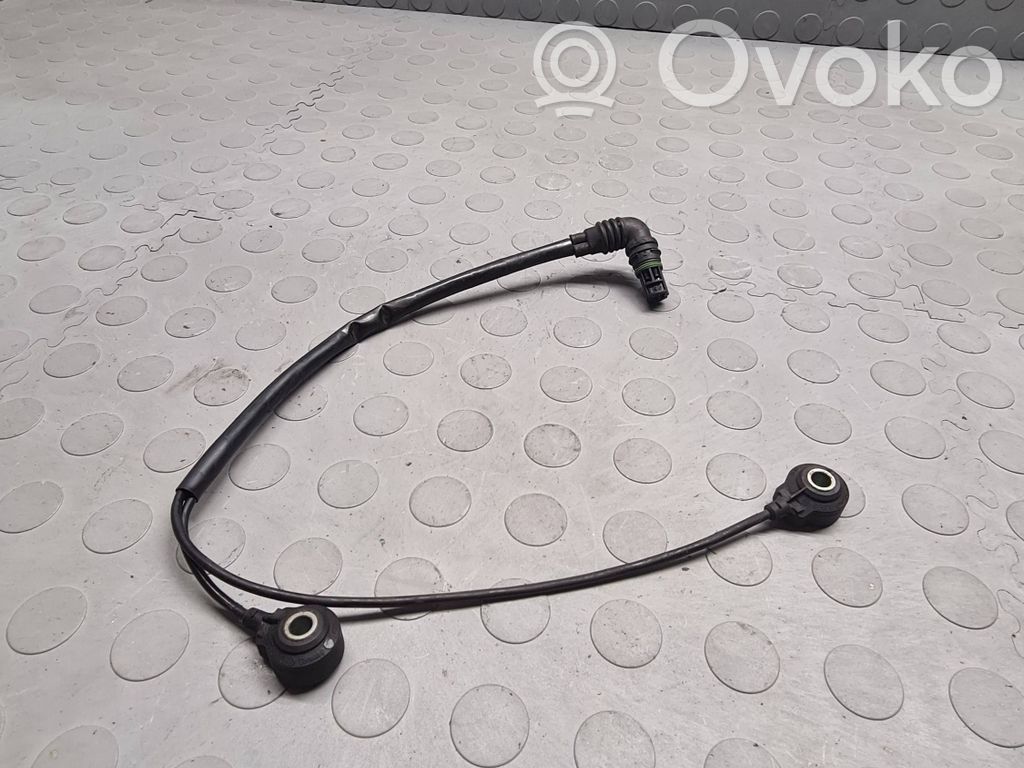 Detonation knock sensor   1709317,12141709317,13627568421,7568421