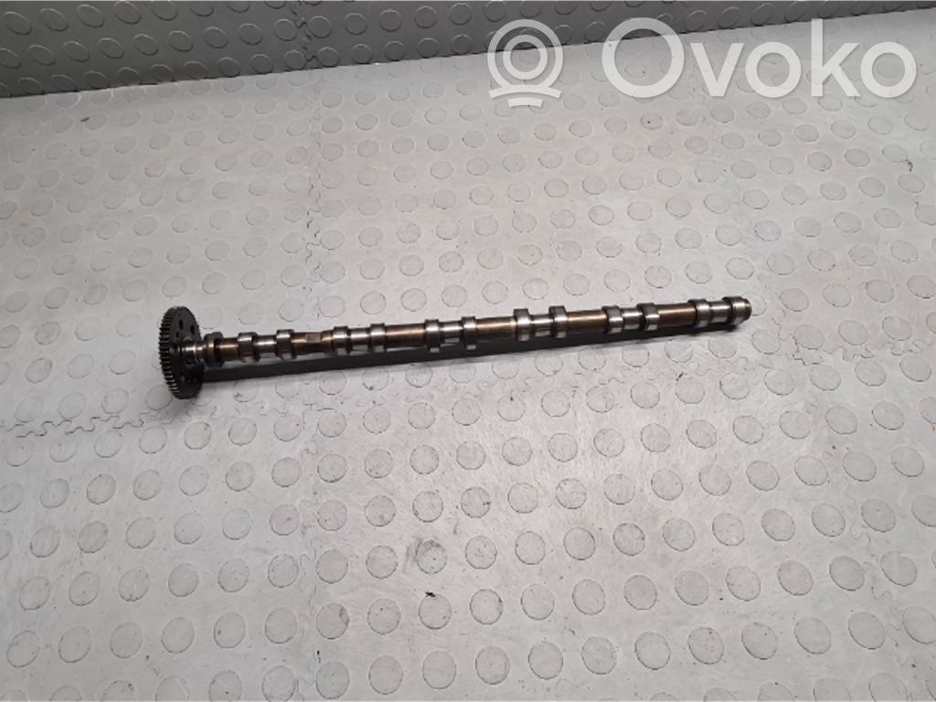 Sadales vārpsta   7791580