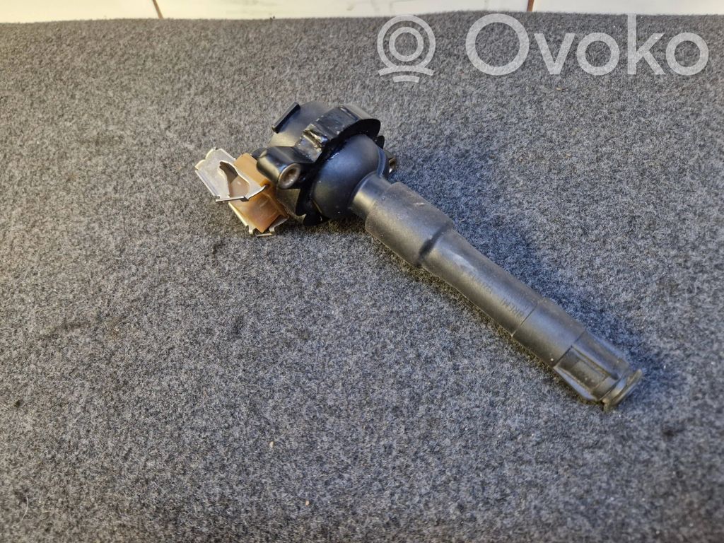 High voltage ignition coil   1748017