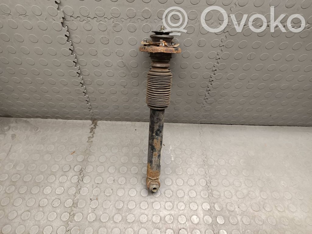 Stoßdämpfer hinten   6750361