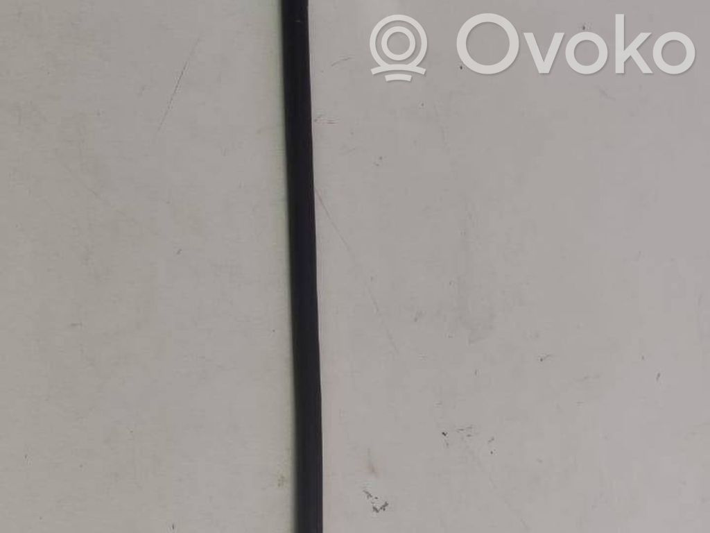 Ford Focus Negative earth cable (battery) 
