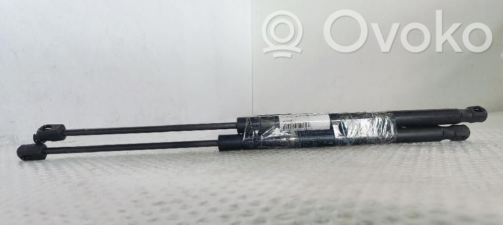 Ford Focus Tailgate/trunk strut/damper 