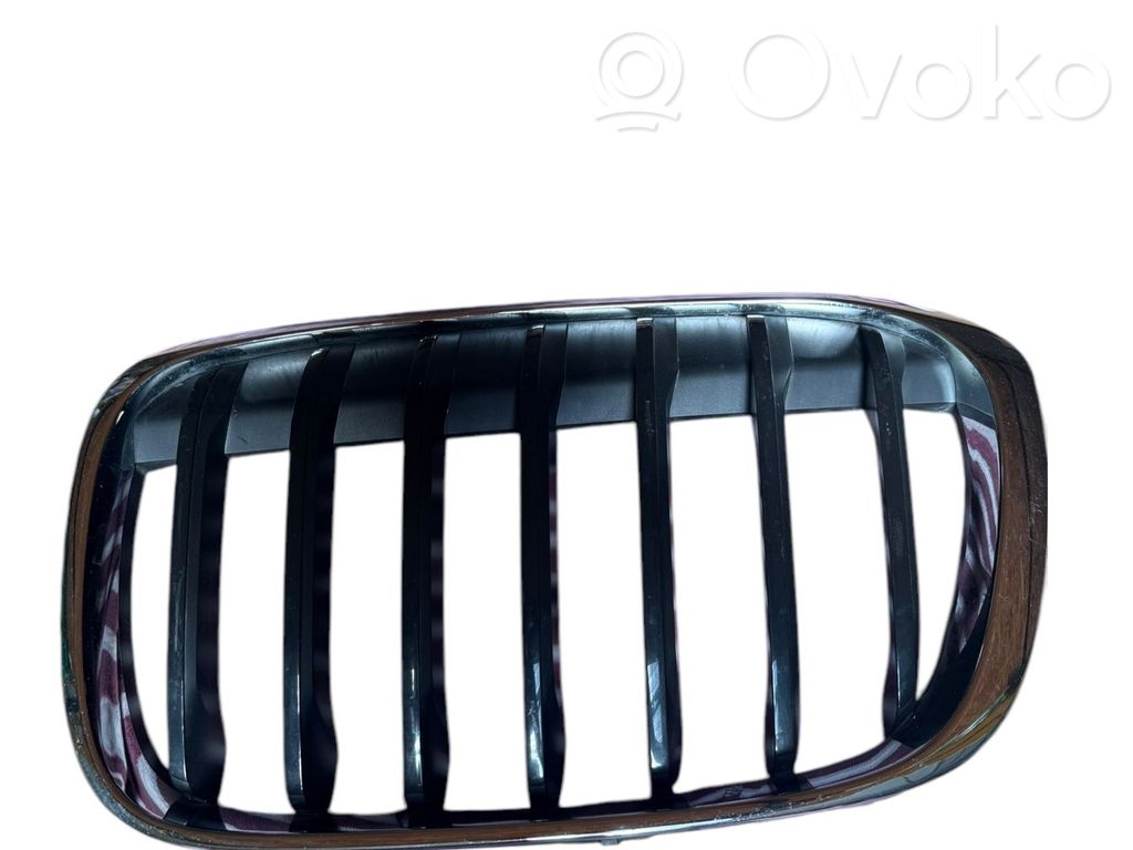 BMW X1 F48 F49 Atrapa chłodnicy / Grill 