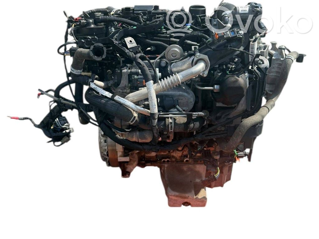 Ford Fiesta Variklis 