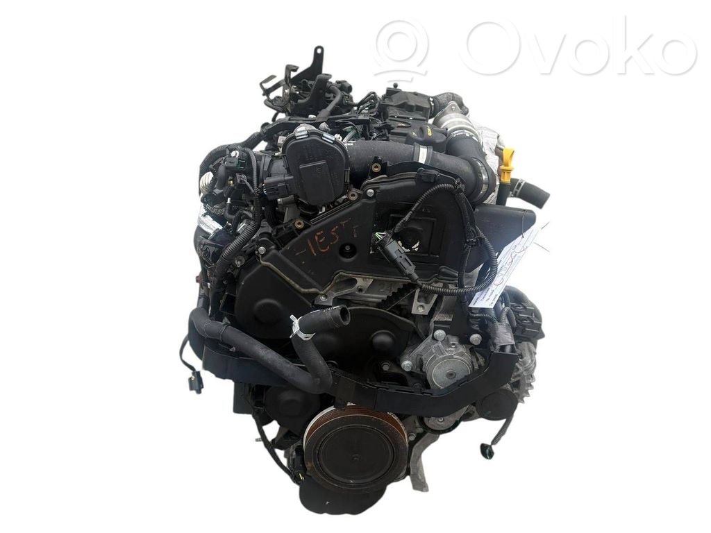 Ford Fiesta Variklis 