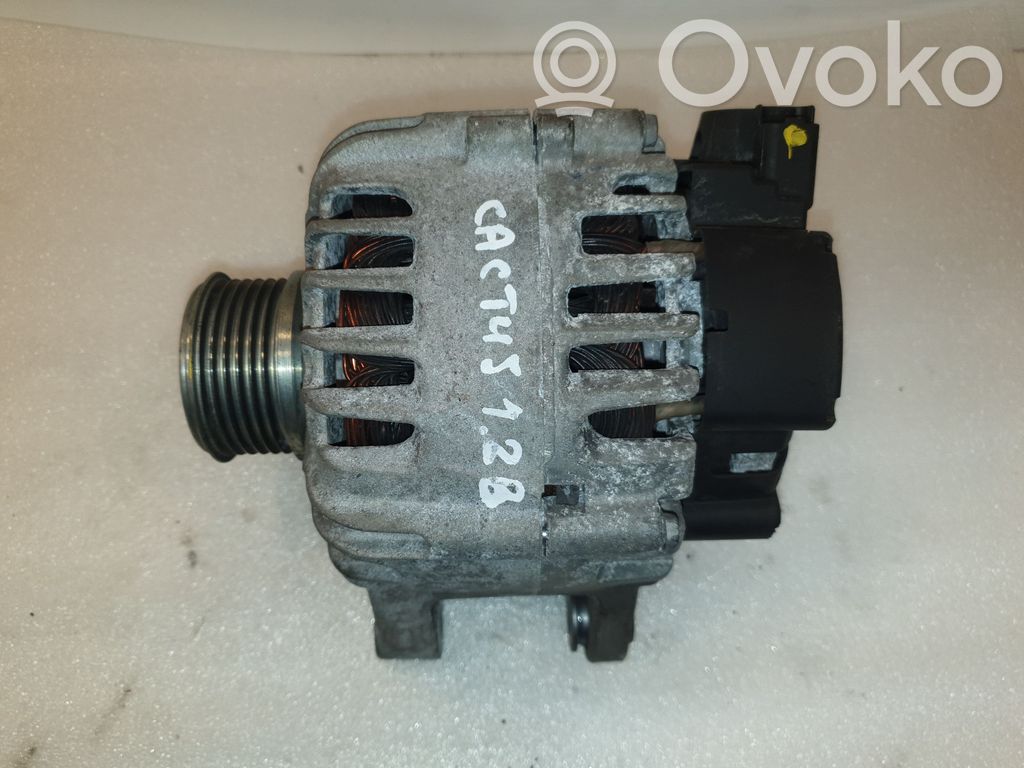 Alternador   9810971880,2624851B