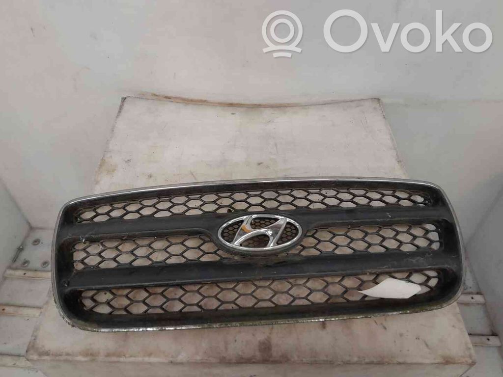 Hyundai Santa Fe Grilă radiator față 