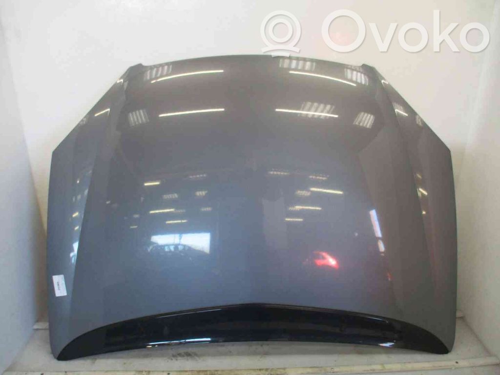Capó/tapa del motor   7901H9,21900076,2514762,VDMS4