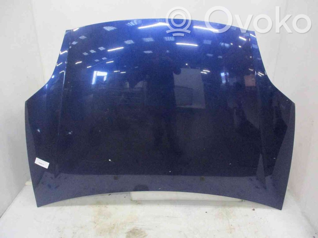 Vano motore/cofano   51775925,22202198,2545559,VDMS4