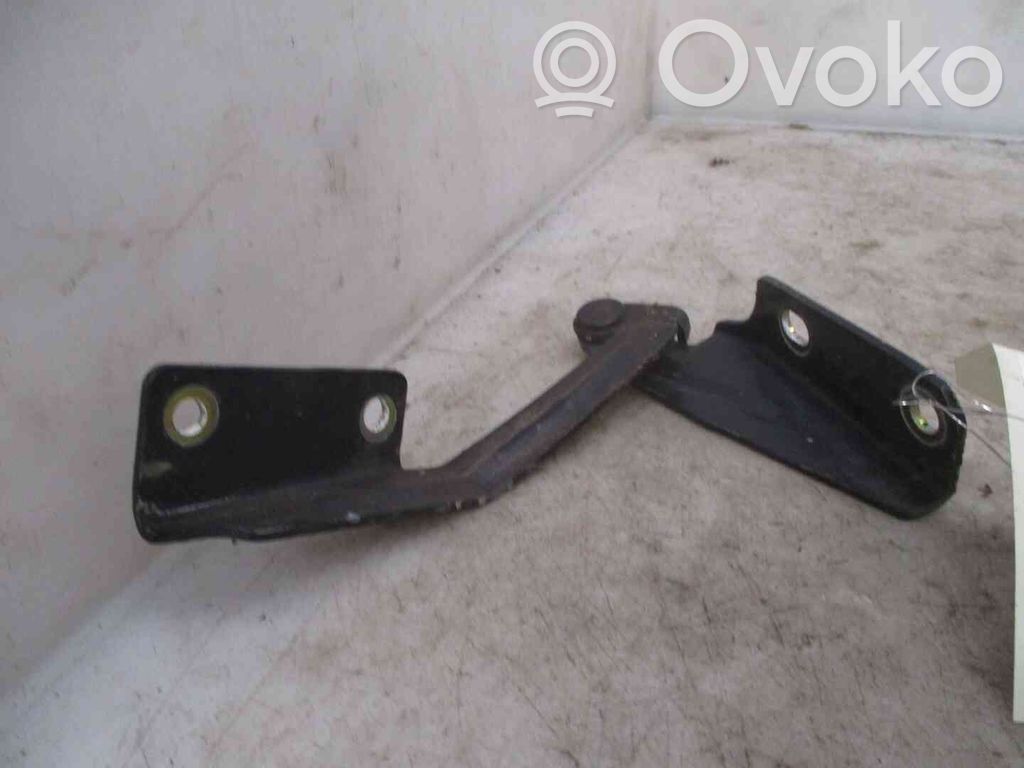 Ford Focus Dzinēja pārsega eņģe (-es) 