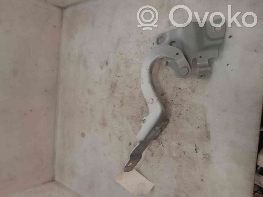 Renault Zoe Cerniere del vano motore/cofano