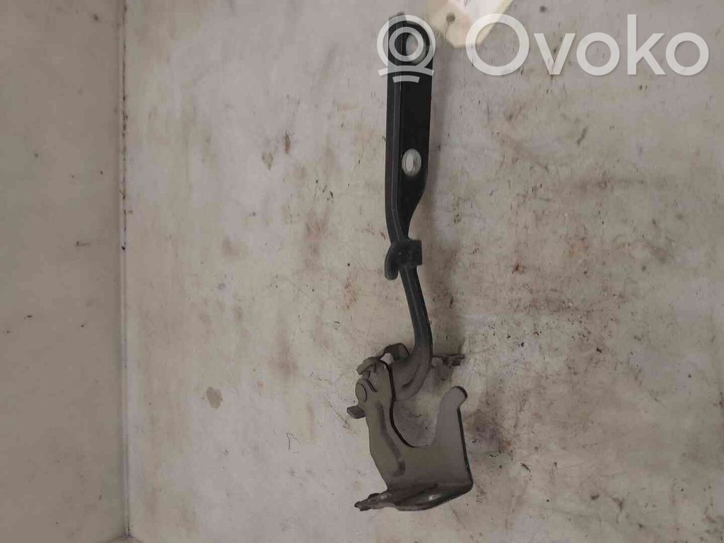 Nissan Juke I F15 Charnière, capot moteur