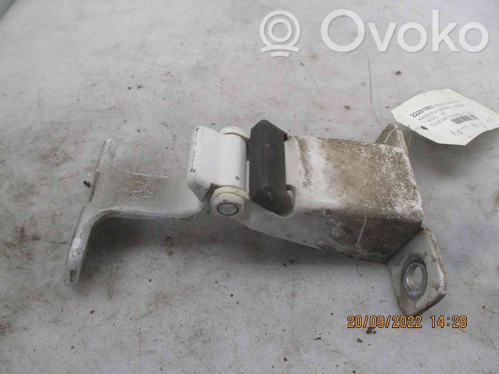 Renault Express Cerniera inferiore della portiera di carico 
