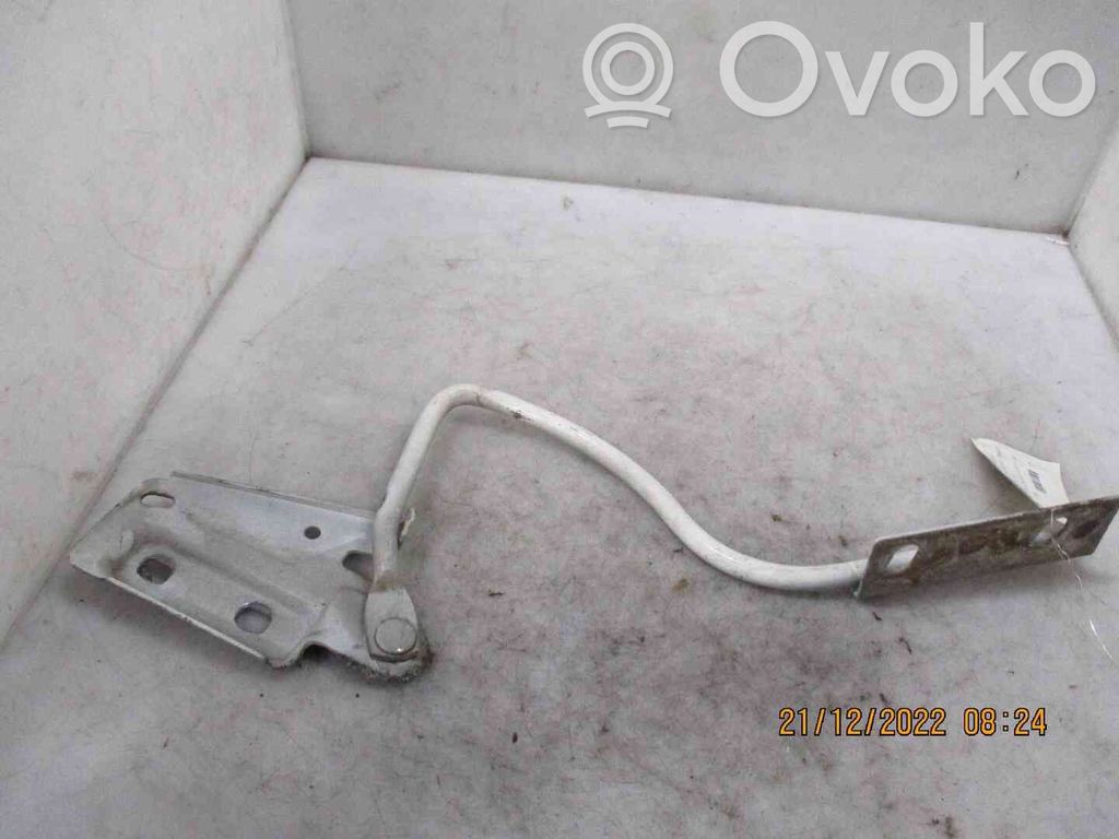 Ford Transit Dzinēja pārsega eņģe (-es) 