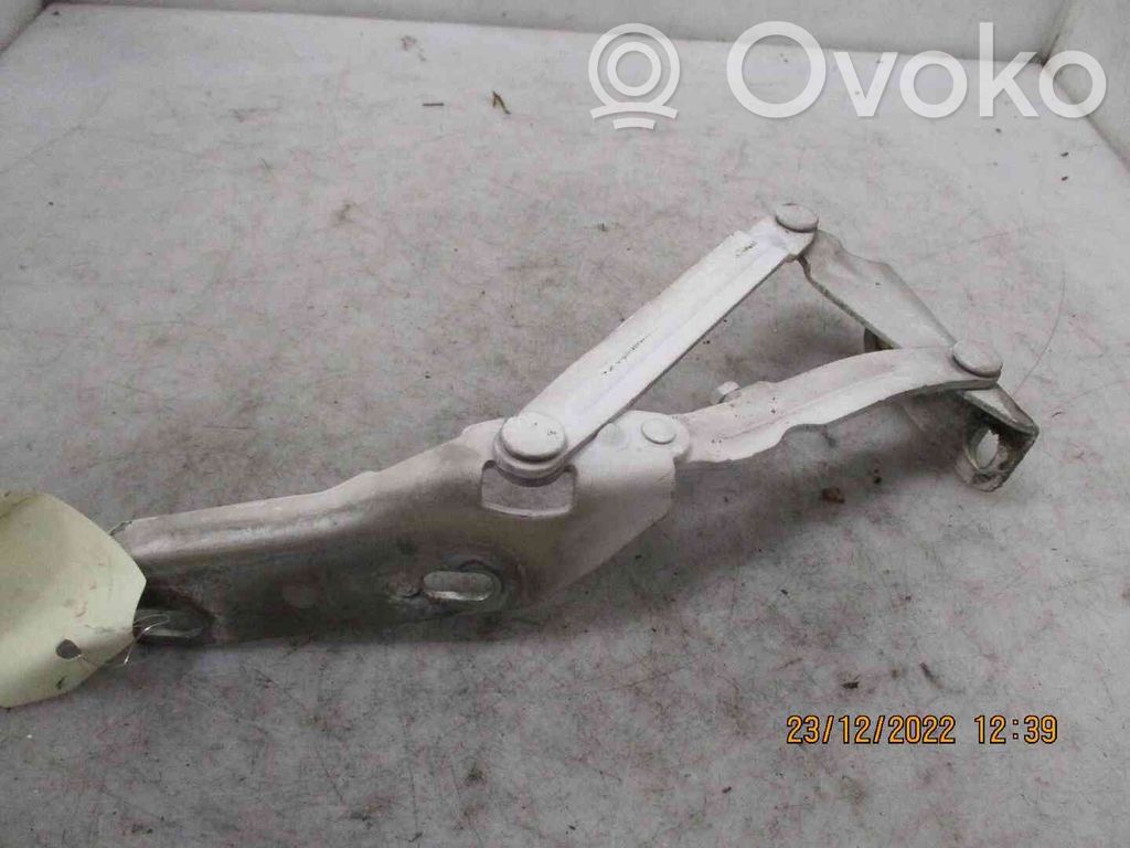 Mercedes-Benz Sprinter W906 Cerniere del vano motore/cofano 