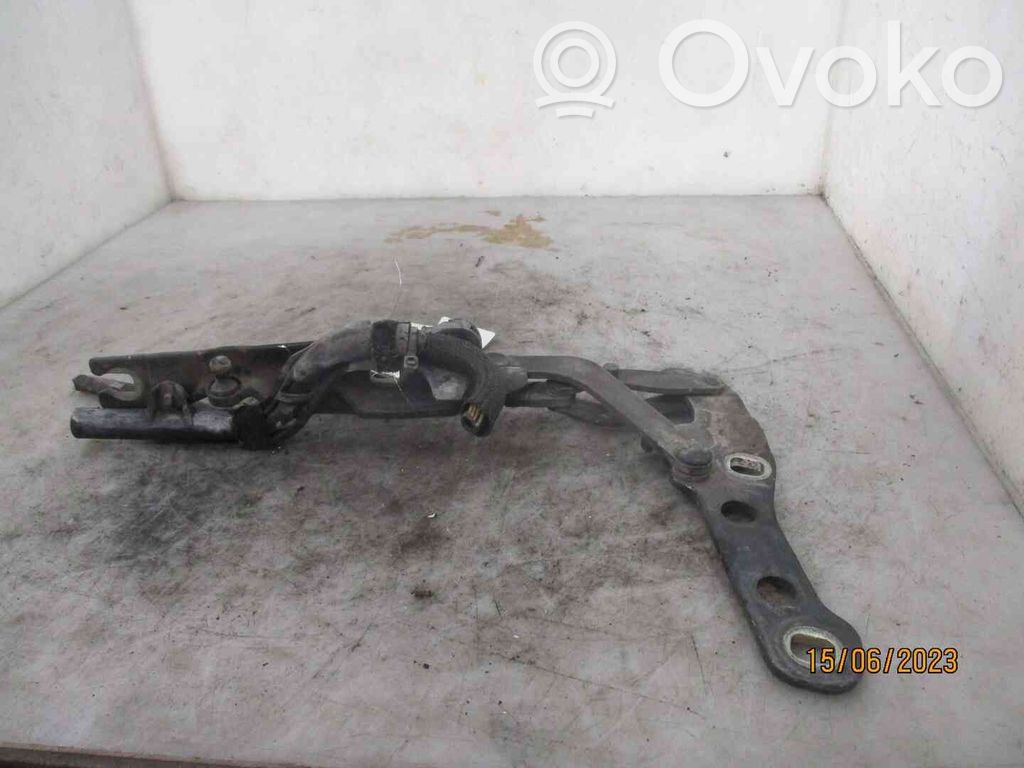 Cerniere del vano motore/cofano   41617028578,22201297,2542475,VDMS4