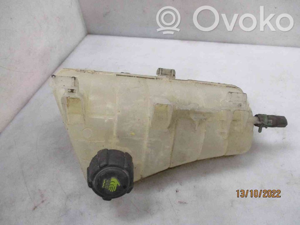 Renault Express Serbatoio di compensazione del liquido refrigerante/vaschetta 