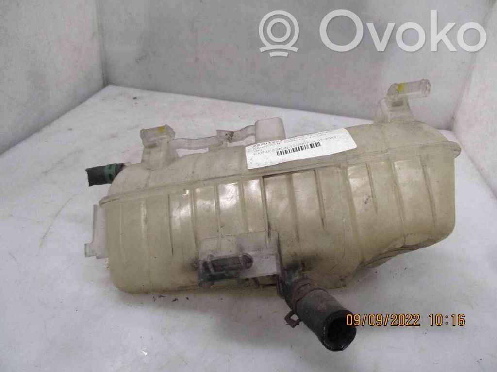 Renault Kangoo II Serbatoio di compensazione del liquido refrigerante/vaschetta 