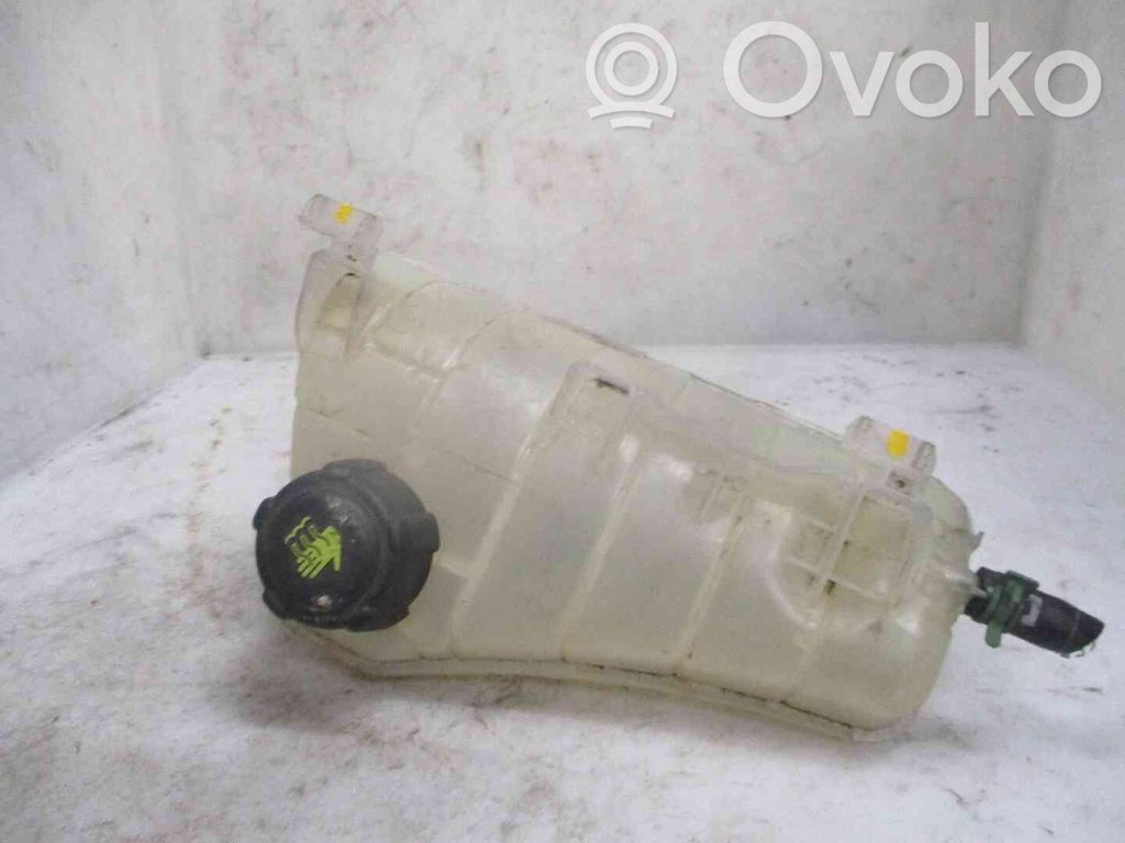 Renault Kangoo II Serbatoio di compensazione del liquido refrigerante/vaschetta 
