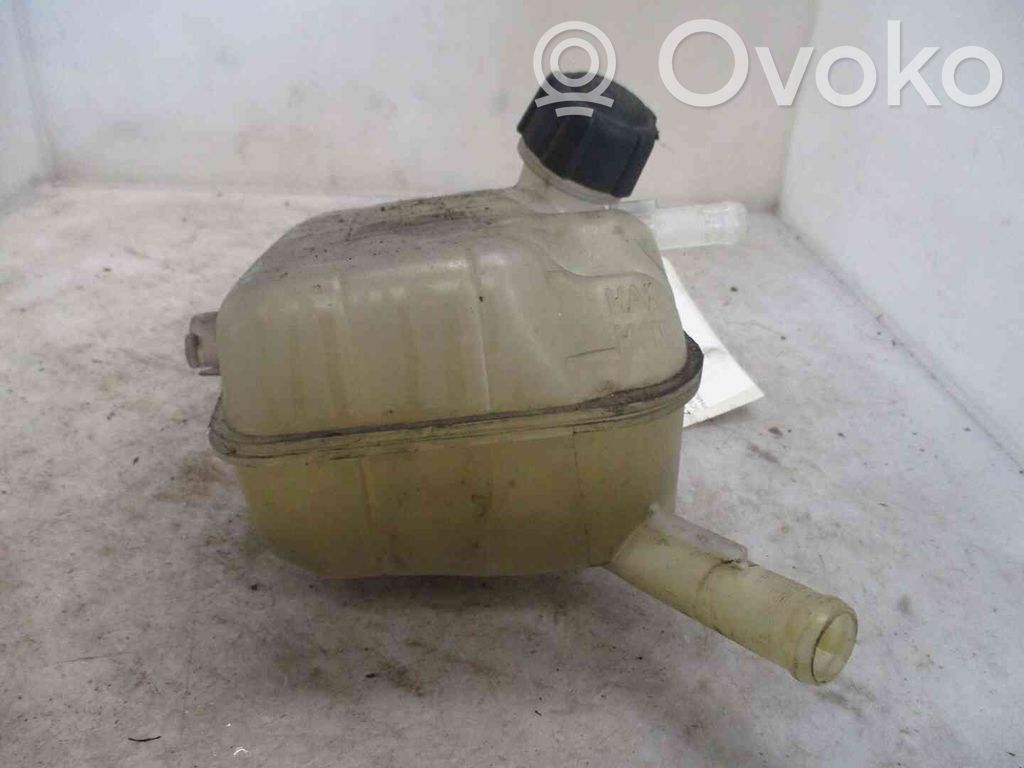 Renault Scenic I Serbatoio di compensazione del liquido refrigerante/vaschetta 