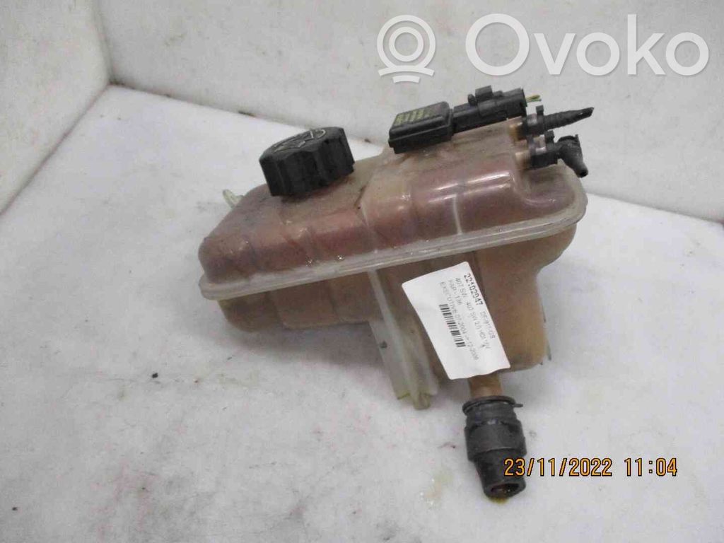 Peugeot 407 Serbatoio di compensazione del liquido refrigerante/vaschetta 