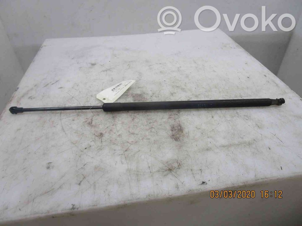 Tailgate/trunk strut/damper   904509U00C,21901836,2519007,VDMS4