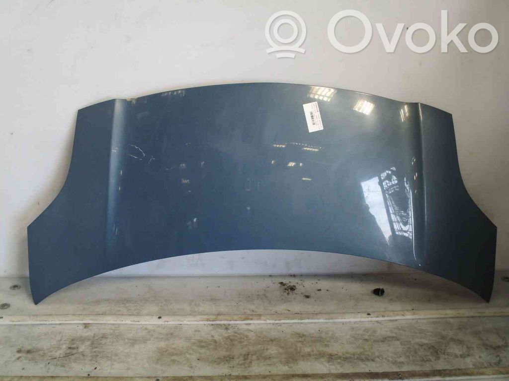 Vano motore/cofano   533010D080,21602334,2500314,VDMS4