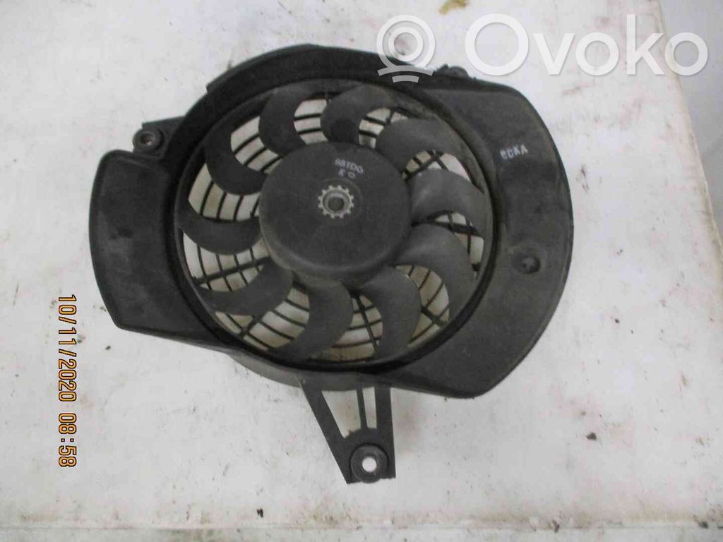 Hyundai H-1, Starex, Satellite Ventilator electric răcire radiator 