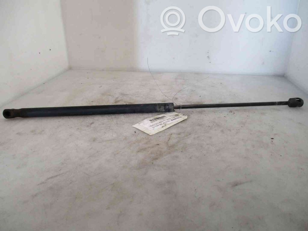 Ford Focus Amortizor hayon 