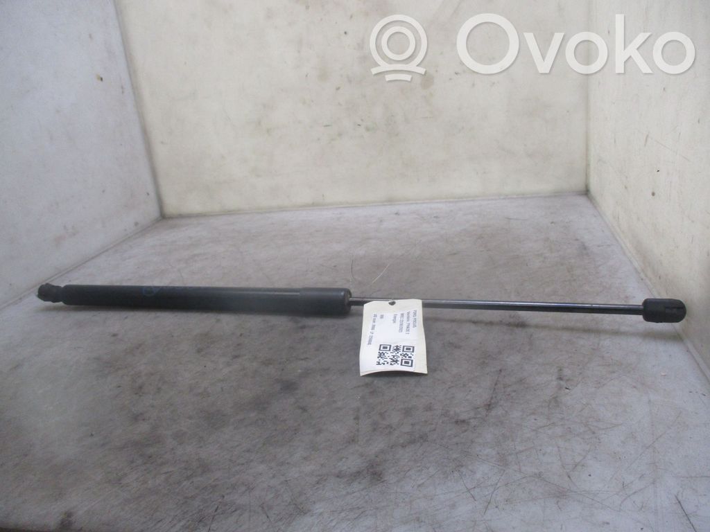 Ford Focus Amortizor hayon 