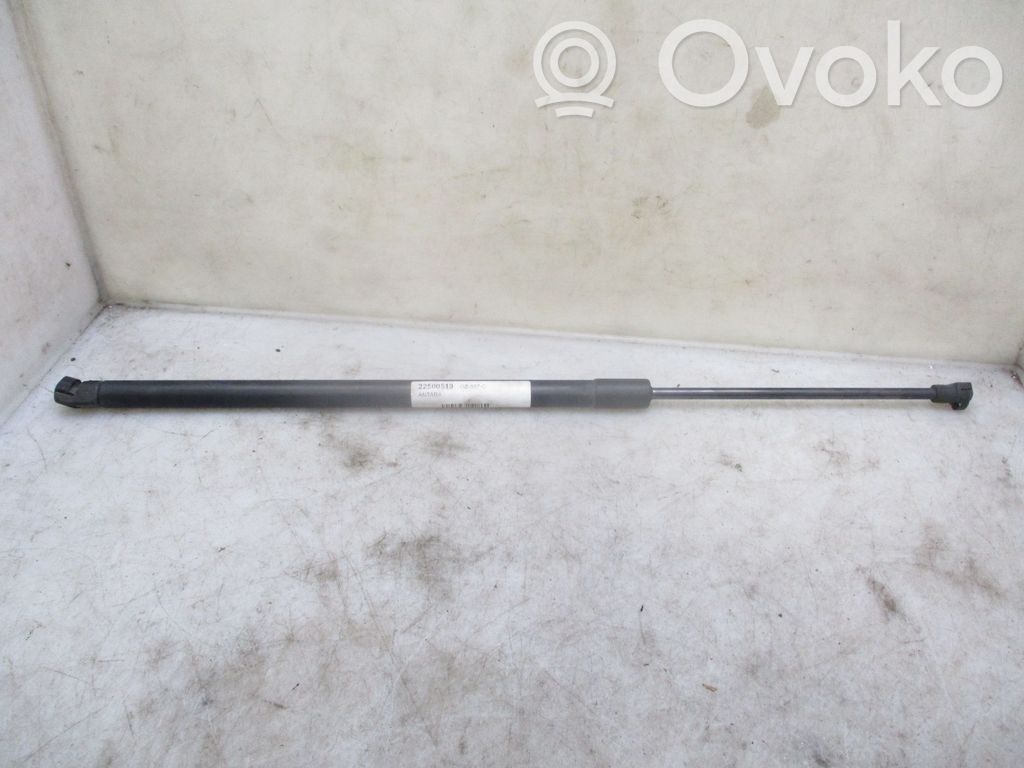 Opel Antara Ammortizzatore portellone posteriore/bagagliaio 