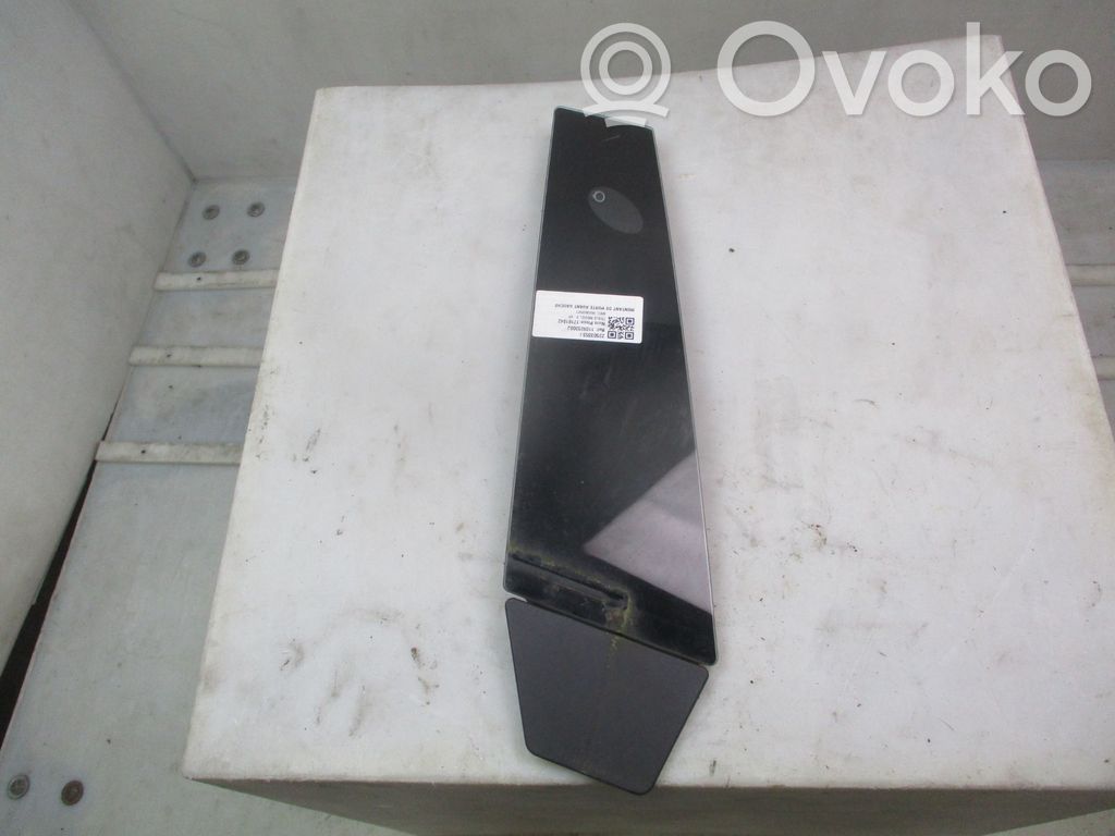 Tesla Model 3 (B) pillar trim (top) 